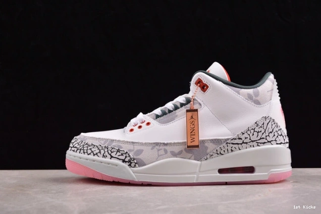 retro wings 1513 air hm6993- jordan WellDesigned 3 1123